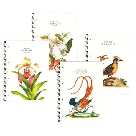 SHKOLYARYK® Dizajnový blok so špirálou A4+, 80 listov, štvorčekový, mix motívov, 104020001