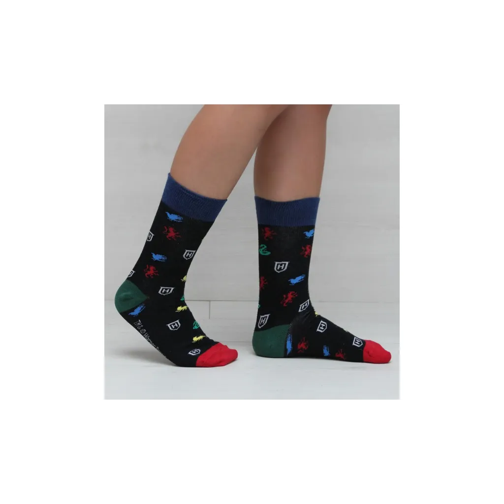 Univerzálne ponožky HARRY POTTER, veľkosť 40-46, 2200006567