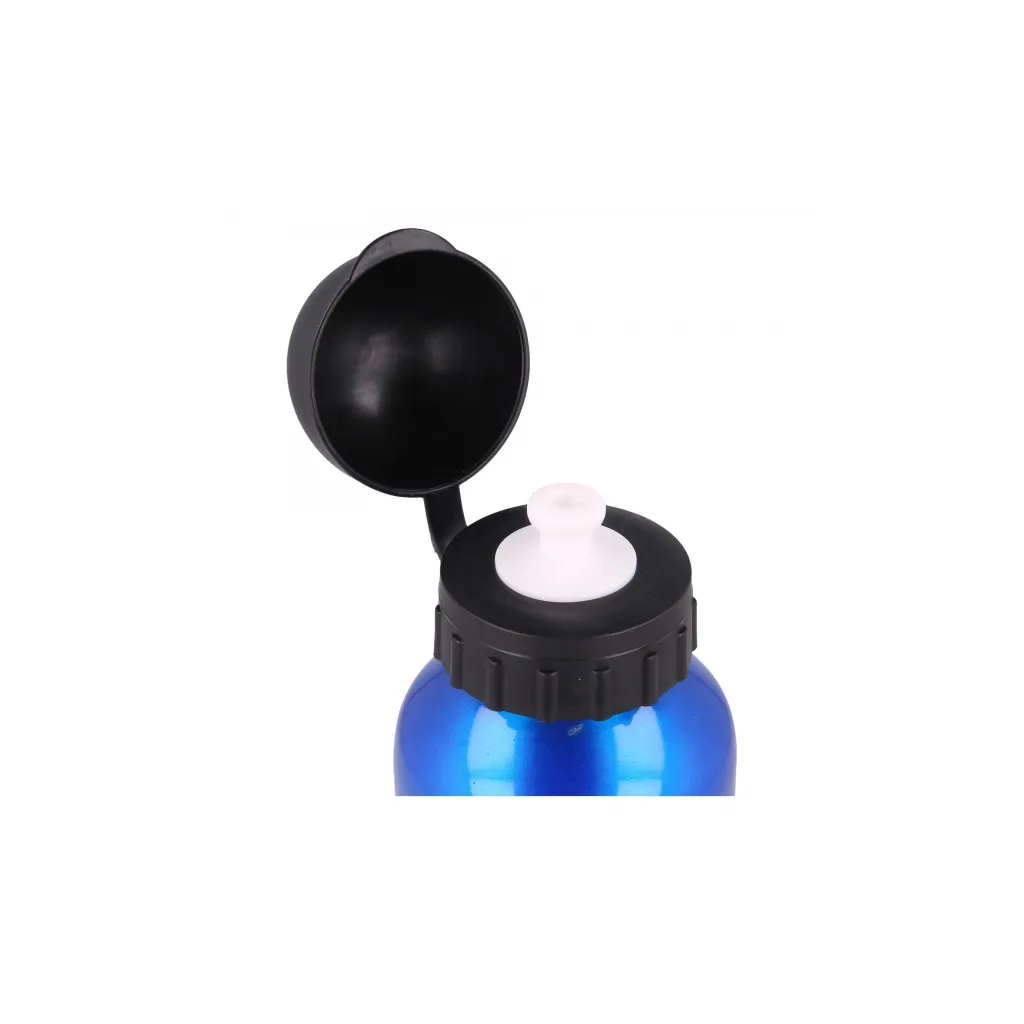 Hliníková láhev na pití HARRY POTTER Blue, 400ml, 12934