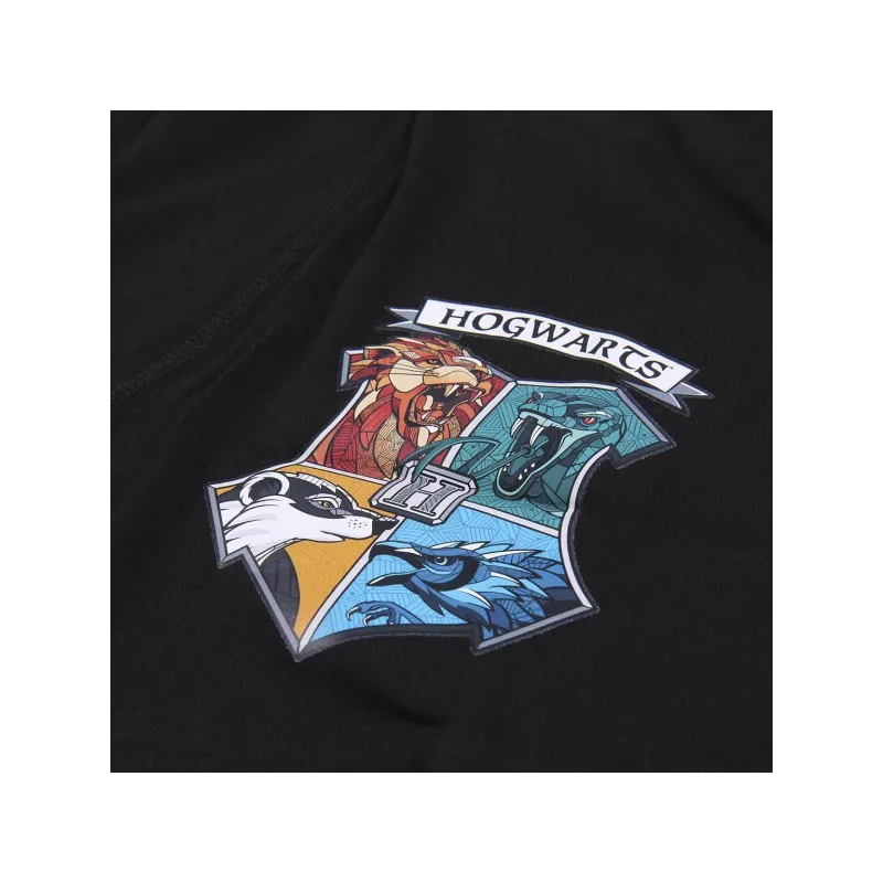 Pánske bavlnené boxerky HARRY POTTER 2ks, 2200007437 Pánske bavlnené boxerky HARRY POTTER 2ks, 2200007437