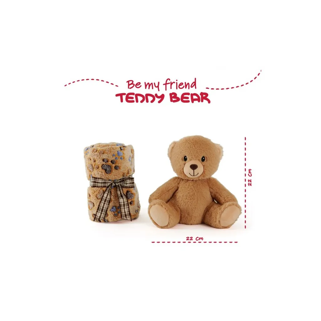 BE MY FRIEND, Plyšová hračka MEDVEDÍK + Fluffy deka 120x80cm, 13066
