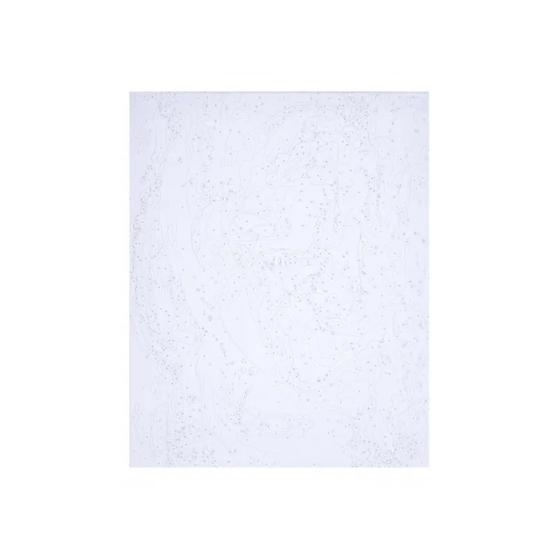 Maľovanie podľa čísel PORTRAIT MODERN, na ráme, 40x50cm, 801022905