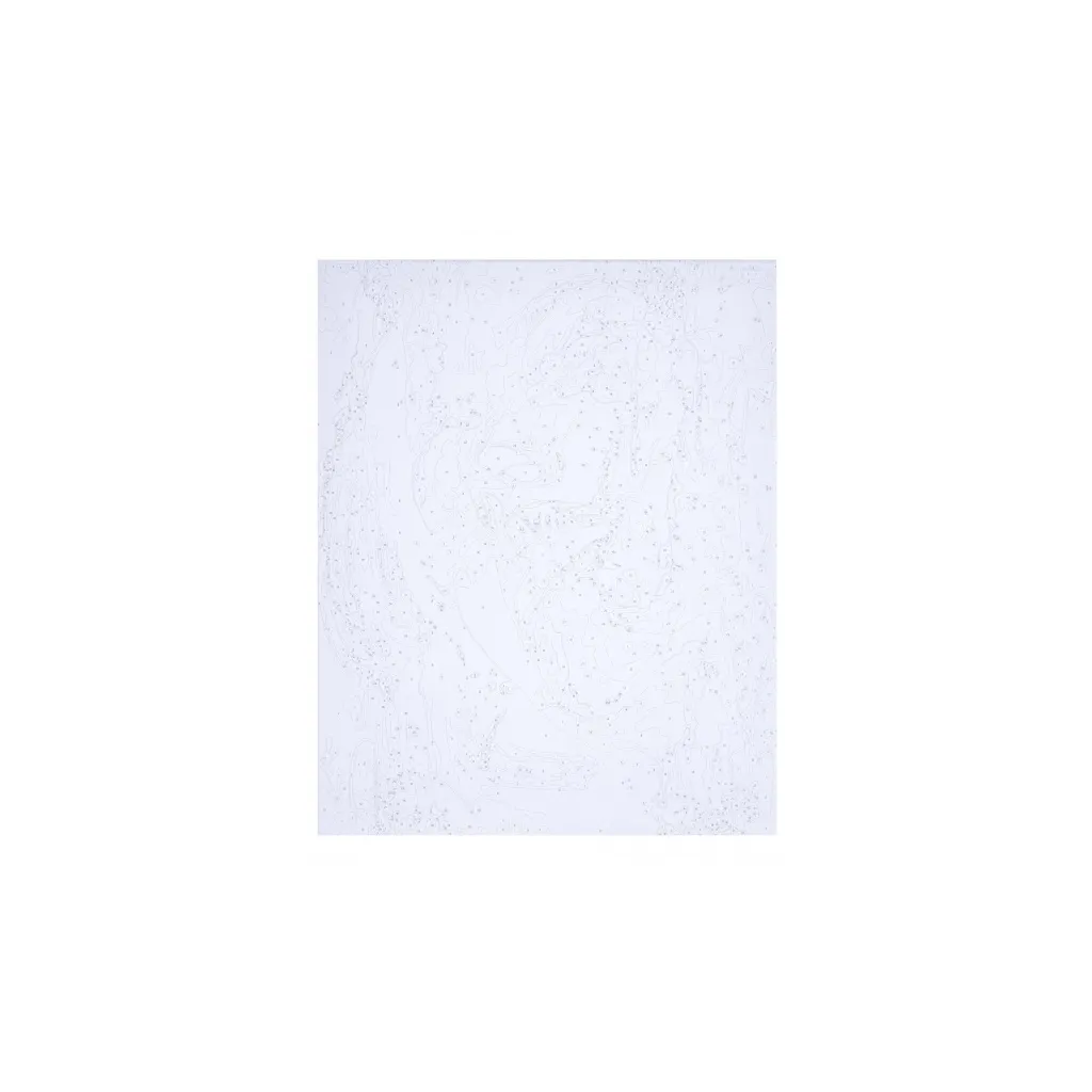 Malování podle čísel PORTRAIT MODERN, na rámu, 40x50cm, 801022905