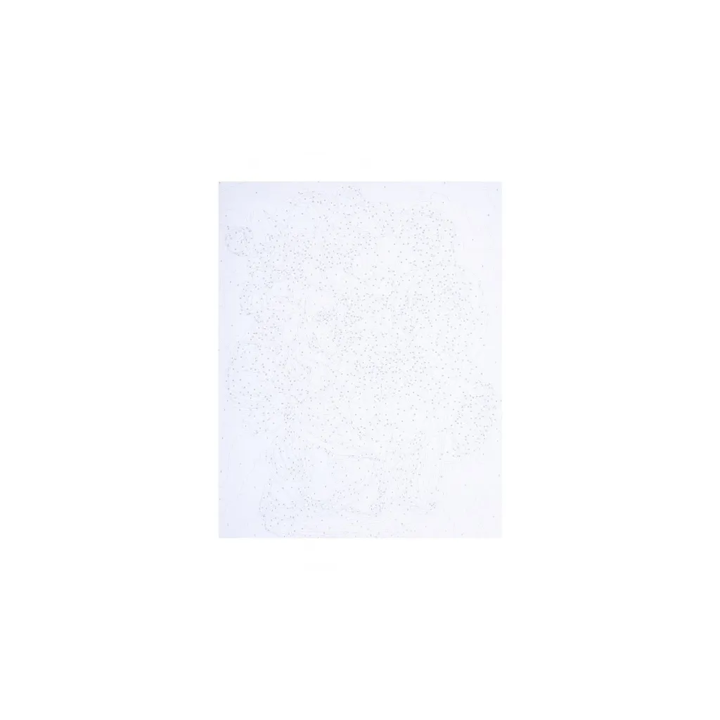 Malování podle čísel IN PEONIES, na rámu, 40x50cm, 801022906