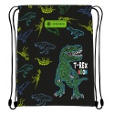 ASTRABAG, Sáček na přezůvky T-REX NEON, AD1, 507023014