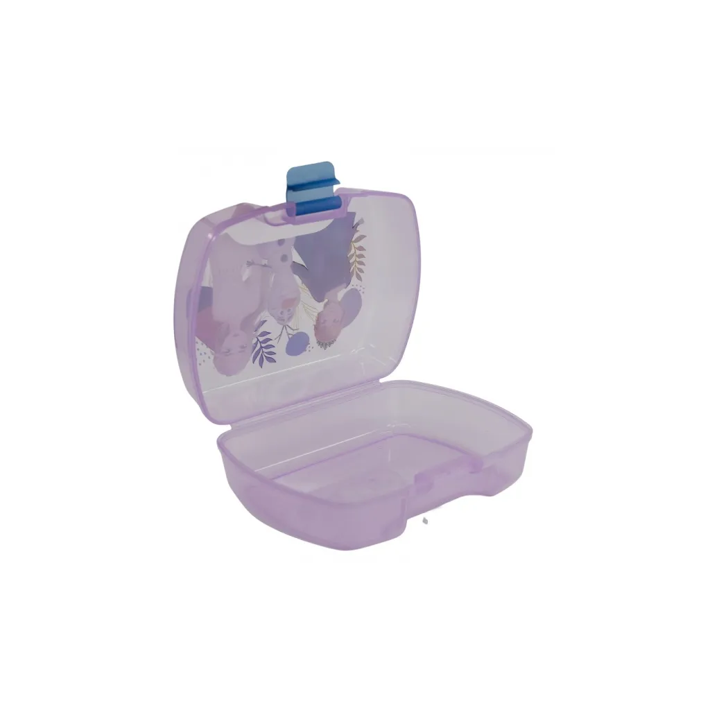 Plastový box na svačinu DISNEY FROZEN Transparent Maxi, 74277