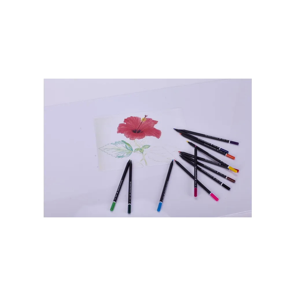 Ergonomické farbičky z čierneho dreva Astra – 12 farieb + strúhadlo