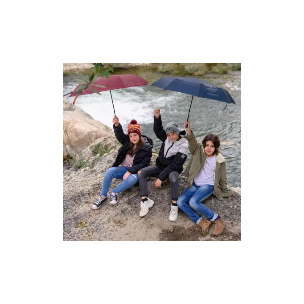 Skládací deštník HARRY POTTER Black, 2400000666