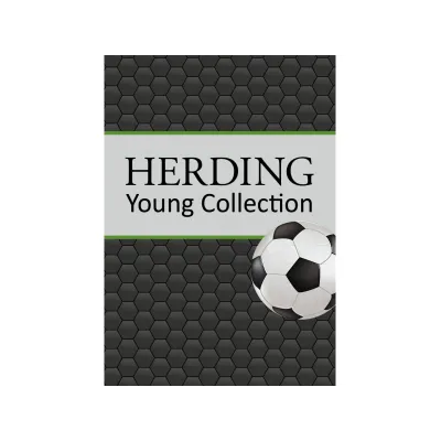 Obojstranný dekoračný vankúšik 40/40cm Herding FUTBAL Obojstranný dekoračný vankúšik 40/40cm Herding FUTBAL