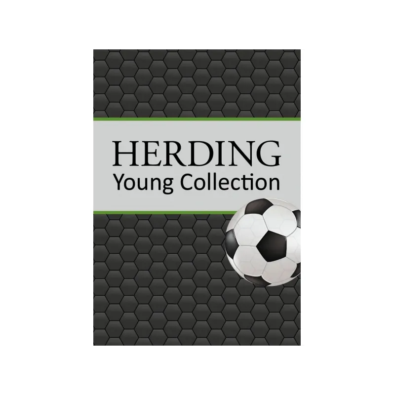 Obojstranný dekoračný vankúšik 40/40cm Herding FUTBAL Obojstranný dekoračný vankúšik 40/40cm Herding FUTBAL