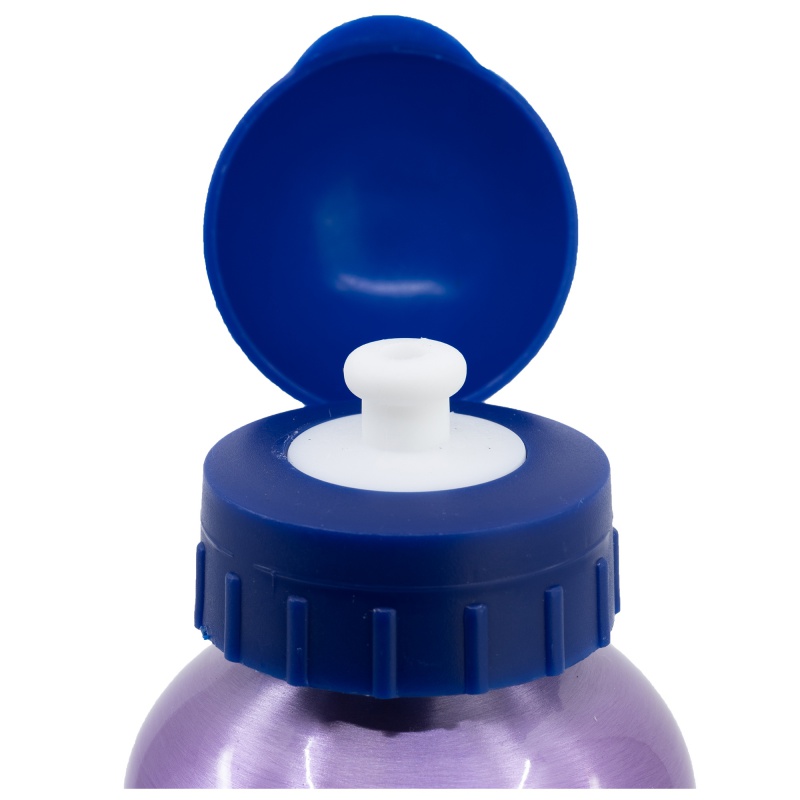 Hliníková láhev DISNEY FROZEN, 530ml, 74260 Hliníková láhev DISNEY FROZEN, 530ml, 74260