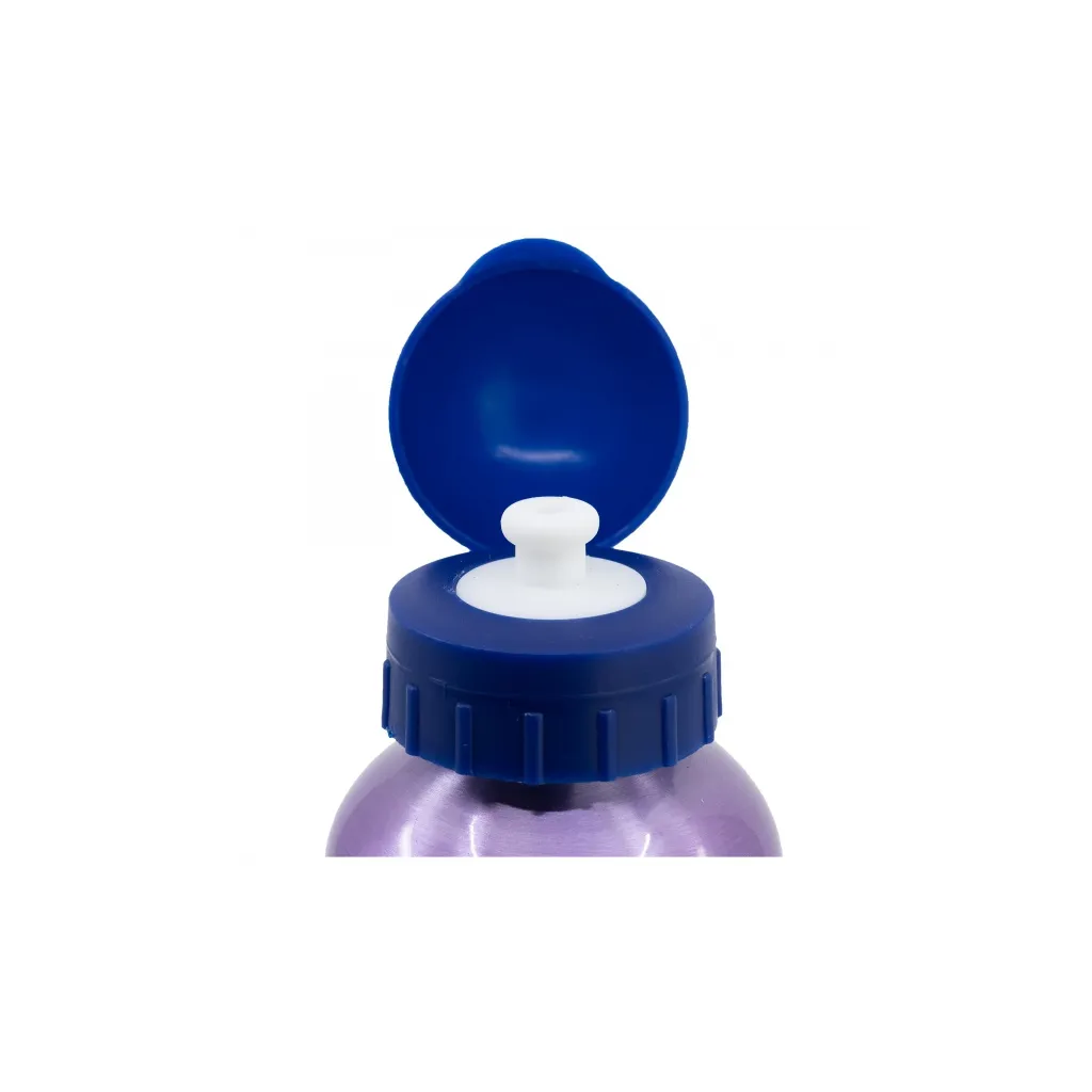 Hliníková fľaša DISNEY FROZEN, 530ml, 74260