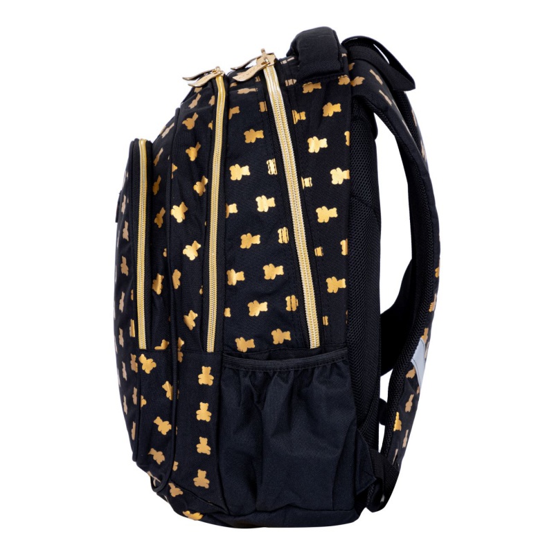 Školní batoh AstraBAG GOLDEN TEDDY, AB300, 502024090 Školní batoh AstraBAG GOLDEN TEDDY, AB300, 502024090