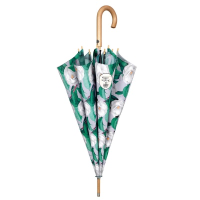 Dámský automatický deštník Green Camelie, 19148 Dámský automatický deštník Green Camelie, 19148