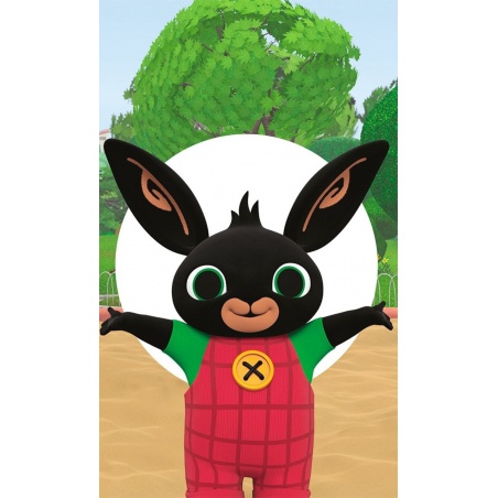 Detský uterák 30/50cm Zajačik Bing, BING236012