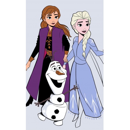 Dětský ručník 30/50cm Disney Frozen, FR213
