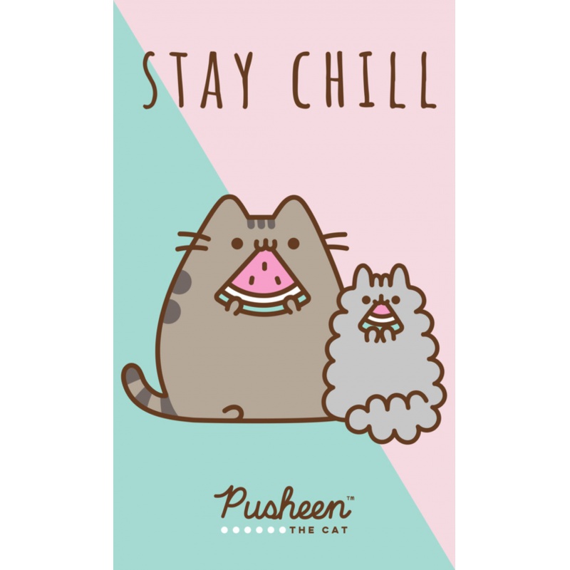 Dětský ručník 30/50cm Pusheen, PTC213014 Dětský ručník 30/50cm Pusheen, PTC213014