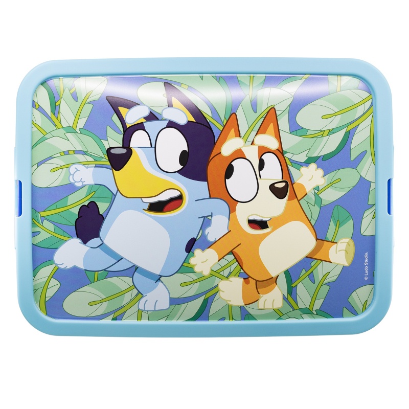 Plastový úložný box Bluey, 13L, 03665 Plastový úložný box Bluey, 13L, 03665