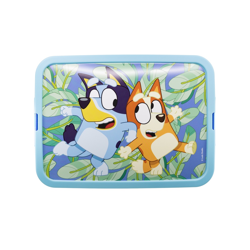 Plastový úložný box Bluey, 13L, 03665