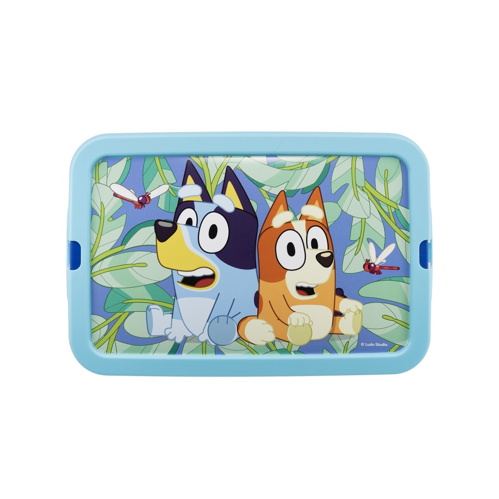 Plastový úložný box Bluey, 7L, 03664