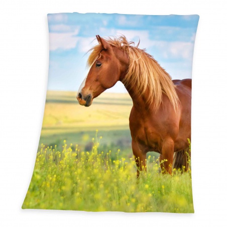 Flísová deka 130/160cm KŮŇ