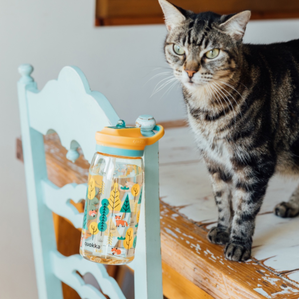 Quokka Kids Glow, Plastová fľaša so slamkou Forest, 580ml, 40283