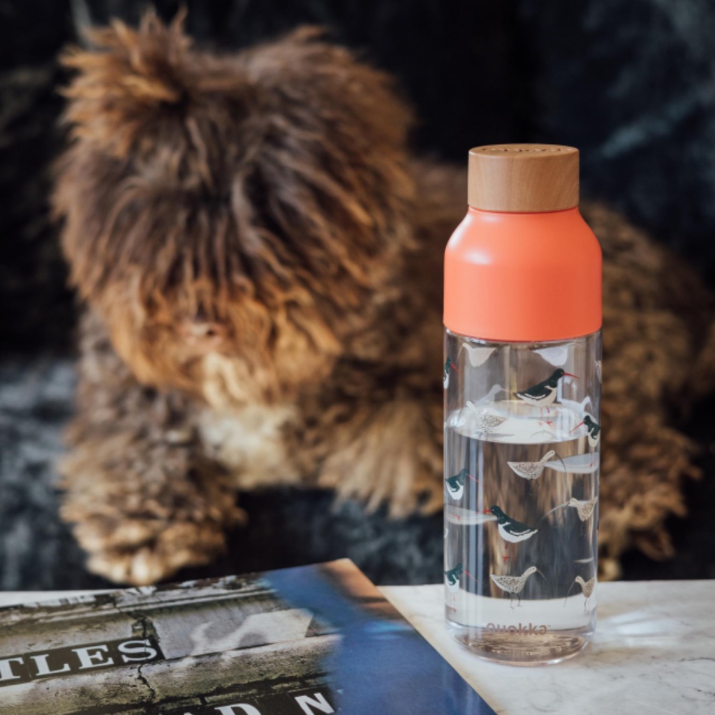 Quokka Ice, Plastová láhev Birds, 720ml, 06989