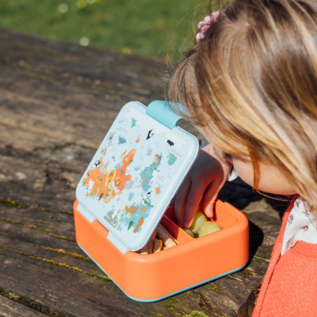 Quokka Twist, Delený plastový box na jedlo Map Of Life, 40260