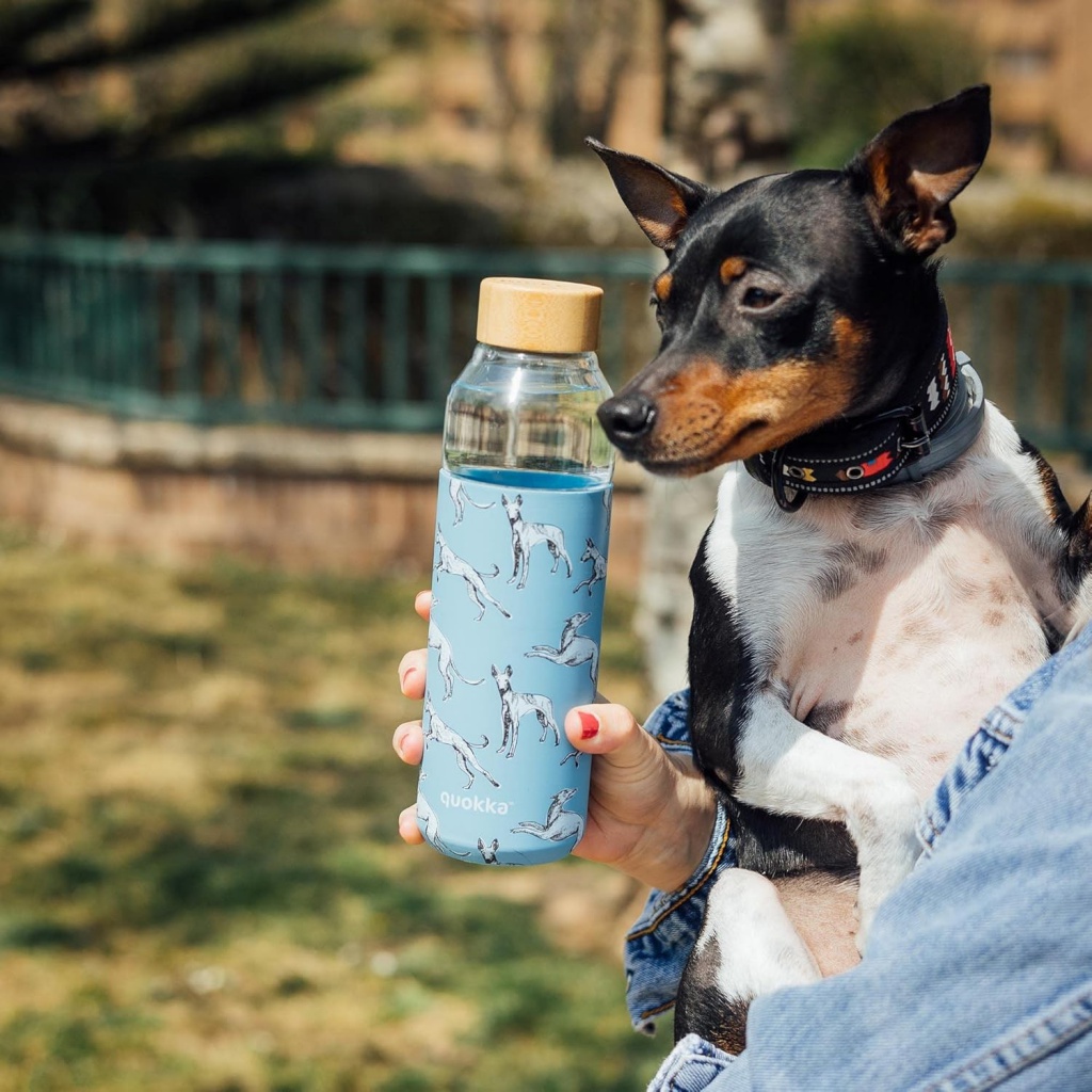 Quokka Flow, Sklenená fľaša so silikónovým povrchom Greyhounds, 660ml, 40011