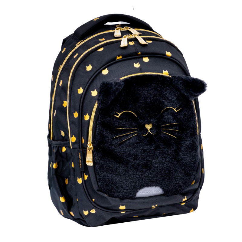 Školní batoh FLUFFY KITTY BLACK s ergonomickými zády a reflexními prvky Obsahuje 3 přihrádky a 2 vnější kapsy.