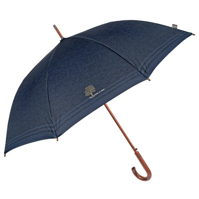 Pánsky automatický palicový dáždnik Perletti Green / modrý, 19163